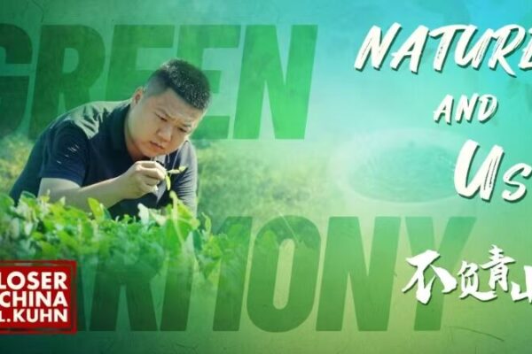Wuyishan National Park: Redefining Harmony Between People and Nature Nature and us video poster