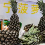 Natures Gifts from Africa at 7th China International Import Expo 