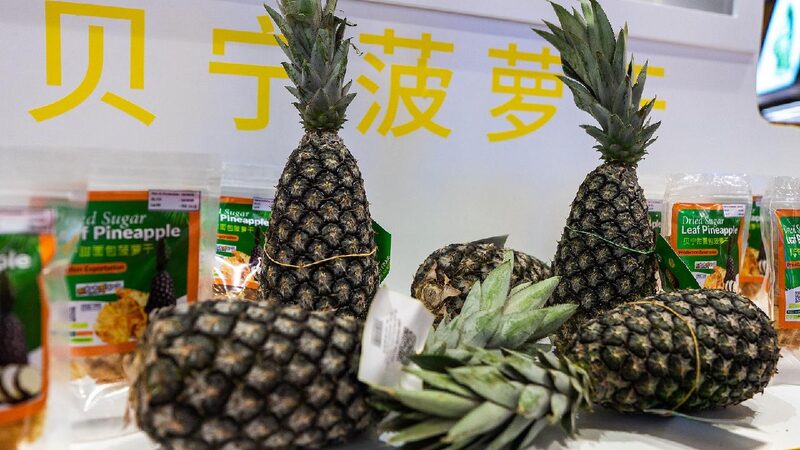 Africa’s Bountiful Harvest Shines at China’s 7th International Import Expo Nature's gifts from Africa at 7th China International Import Expo