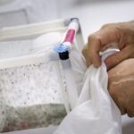 New Australian Venture to Target Deadly Disease spreading Mosquitoes 