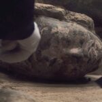 Officer Figurine Head Retrieved from Terracotta Armys Pit No 2 