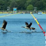 Paris 2024 Organizers Claim Event Far Less Polluting Than Recent Games 