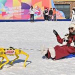Robotic Dogs Go on Duty at Ski Resort in China 