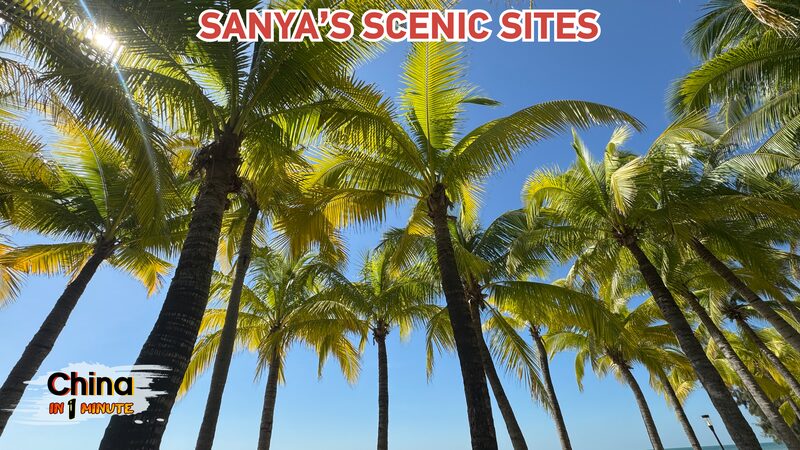 # - My News! Sanyas Tropical Paradise Beaches Mountains and Culture Video Poster