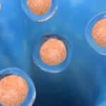 Scientists Announce Progress Toward Ambitious Atlas of Human Cells 