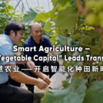 Smart Agriculture Chinas vegetable Capital Leads Transformation Video Poster 