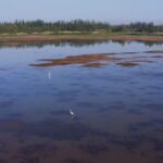 the Green Miracle Haba Lake Video Poster 