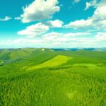 the Green Miracle Saihanba Video Poster 