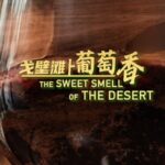 the Sweet Smell of the Desert Video Poster 