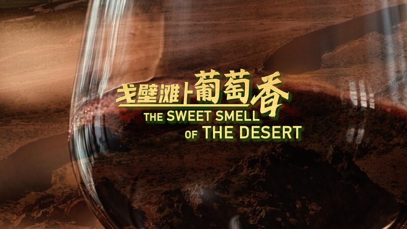 # - My News! the Sweet Smell of the Desert Video Poster