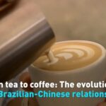 the Evolution of Chinese brazilian Relations Video Poster 