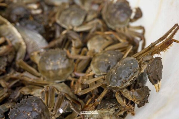 Inside China’s Most Prized Crab Farms in Yangcheng Lake This is where they raise some of China's most prized crabs
