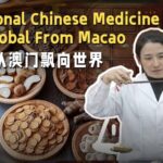 Traditional Chinese Medicine Goes Global from Macao Video Poster 
