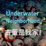 Underwater Neighborhood Video Poster 