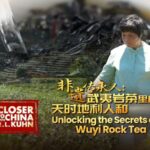 Unlocking the Secrets of Wuyi Rock Tea Video Poster 