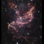 Webb Finds Planet forming Disks Lived Longer in Early Universe 