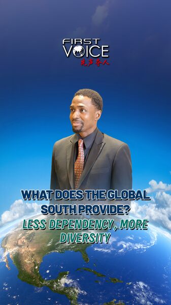 What Does the Global South Provide Less Dependency More Diversity Video Poster 