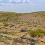 Whats Chinas Answer Sheet to Desertification 