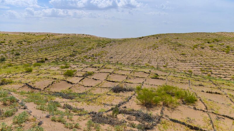 Whats Chinas Answer Sheet to Desertification 