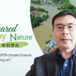 Why Are Cop29 Climate Finance Talks Dragging On Video Poster 