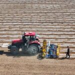 Xinjiang Cotton Industry Calls for Objective Treatment of Its Cotton 