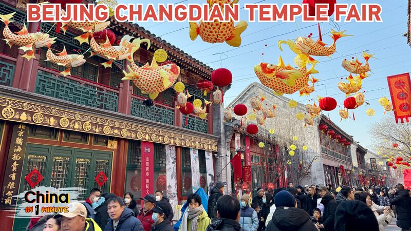 # - My News! a Stroll Through Beijings Changdian Temple Fair Video Poster