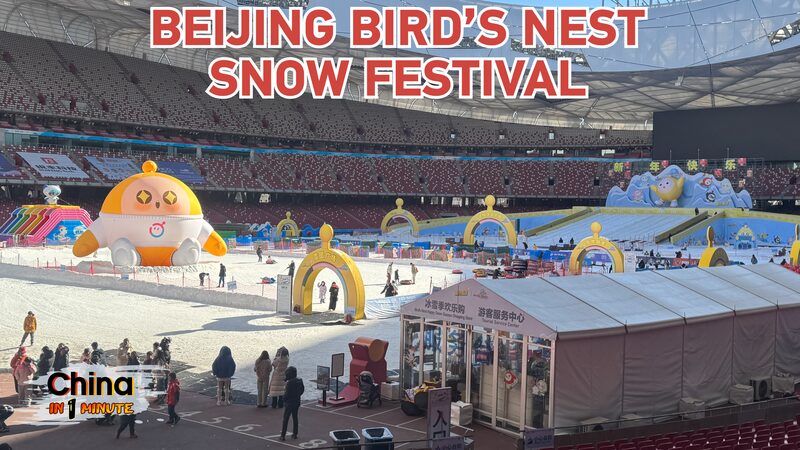 # - My News! Birds Nest Snow Festival Winter Fun in Beijing Video Poster