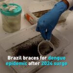 Brazil Braces for Dengue Epidemic After 2024 Surge Video Poster 