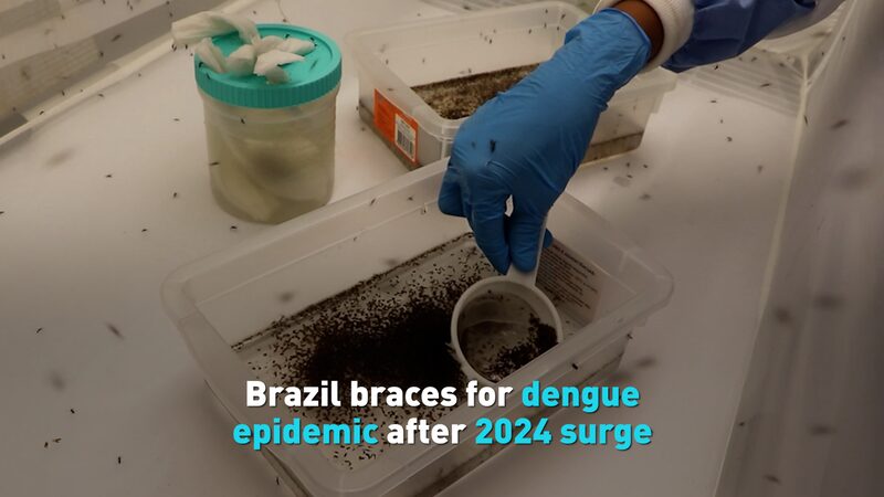 Brazil Braces for Dengue Epidemic After 2024 Surge Video Poster 