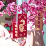 Cgtn the Vibe 20250108 