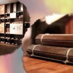 Cgtn the Vibe 20250110 