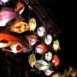 China Landmarks Fish Lanterns on the Streets of Xiangshan 