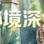 China Media Group Premieres New Nature Documentary Series 