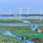 China Highlights Tech driven Growth Green Transition at Davos 