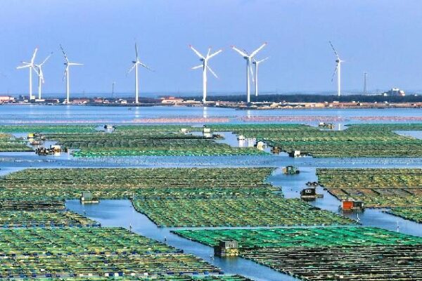 # - My News! China Highlights Tech driven Growth Green Transition at Davos