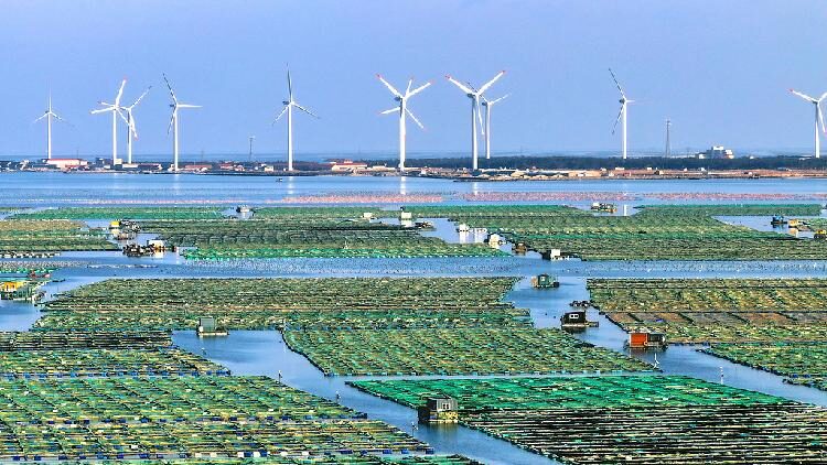 # - My News! China Highlights Tech driven Growth Green Transition at Davos