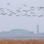 China to Boost Aviation Safety Following Recent Foreign Incidents 