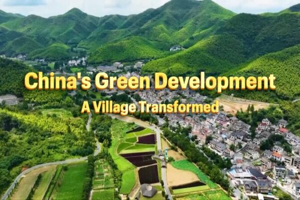 # - My News! Chinas Green Development a Village Transformed Video Poster