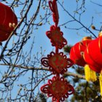 Chinese Leaders Extend Spring Festival Greetings to Retired Officials