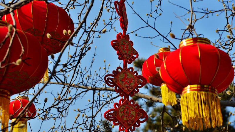 Chinese Leaders Extend Spring Festival Greetings to Retired Officials 