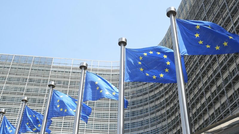 Eu Announces Action Plan to Address Auto Industry Challenges 