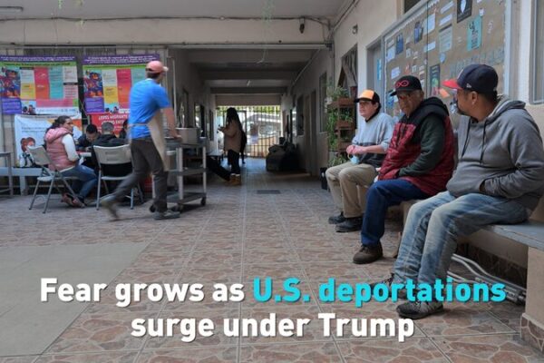 # - My News! Fear Grows As Us Deportations Surge Under Trump Video Poster