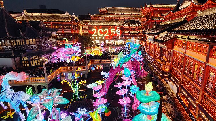 Festive Frenzy Spring Festival Ignites Chinas Economy 