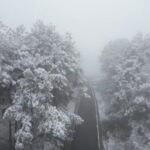 First Snow Turns Tea Mountain in Guizhou into Silver Wonderland Video Poster 