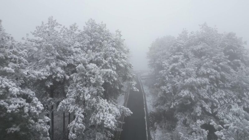 # - My News! First Snow Turns Tea Mountain in Guizhou into Silver Wonderland Video Poster