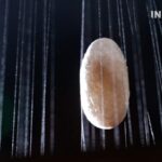 from Silkworm to Art the Story of Silk 