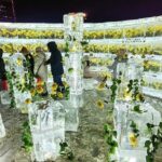 Golden Roses frozen in Ice Light Up Harbins Winter 