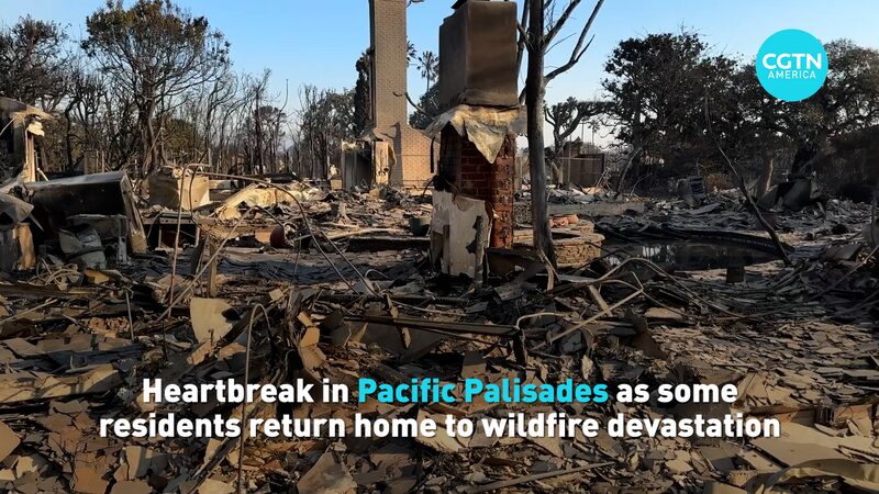 Heartbreak in Pacific Palisades As Residents Return Home Video Poster 