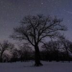 How to Catch the Quadrantids the First Meteor Shower of 2025 