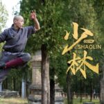 in Pics Shaolin Kung Fu Monkey Stick 